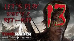 Алексу нужна помощь [Tomb Raider #13]