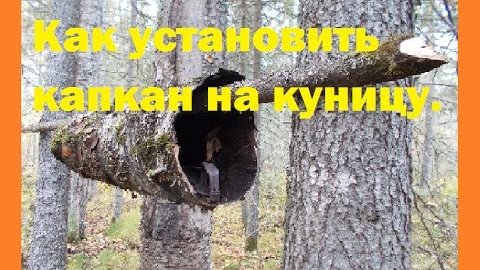 На природе в Коми!