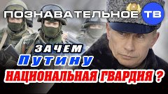 Зачем Путину Национальная гвардия? (Познавательное ТВ, Артём...