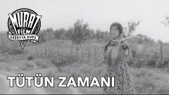 Tütün Zamanı - Yılmaz Güney