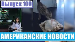 Hack News - Американские новости (Выпуск 100)