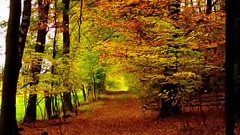 Ив Монтан Осенние листья — Видео@MailRu