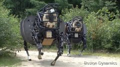 Четвероногий робот Новейшие военные разработки
