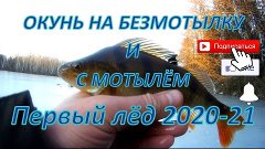 Ловля окуня на безмотылку и с мотылём. Первый лёд 2020-21.