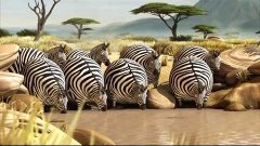 ROLLIN&#39; SAFARI - four official Trailers ITFS 2013 and fmx 20...