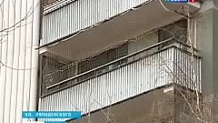 Домашняя рысь, которая живет на балконе