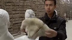 Живые скульптуры китайского дизайнера покоряют мир (новости)