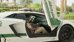 Полиция Дубая Dubai Police