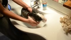 Bunny takes a shower  [ORIGINAL VIDEO]