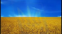 Це моя Україна! (Ukraine):