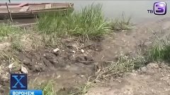 Рыбаки поймали монстра  Воронежский мутант