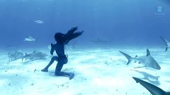 Tigress Shark - Woman Dances with Tiger Sharks