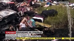 Доказательства причастности ДНР к гибели Boeing 777 «Малайзи...