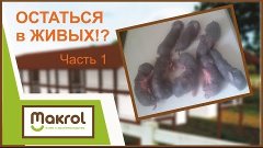 Воскрешение из мертвых. Квест &quot;Остаться в живых&quot; часть 1. Ма...