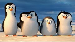 ПИНГВИНЫ МАДАГАСКАРА - &quot;Пингвины Антарктики&quot; - РОССИЯ
