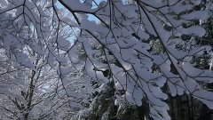 Ф.Шопен - Ноктюрн 20 - Первый снег...- F. Chopin - Nocturne ...