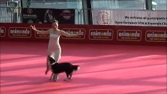 OEC 2014 - Dogdance Freestyle - Sandra &amp; Lizzy