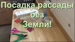 Посадка Рассады без Земли -это интересно.