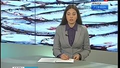 Около 80% рыбы в водоёмах Иркутской области заражены паразит...