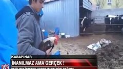 Keslimek isteyen Xoruz Ana Diye Qisqirdi.. ALLAHIM NE BÖYÜKS...