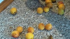 Как быстро удалить косточку из абрикоса