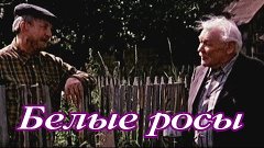 &quot;Белые росы&quot; 1983 год