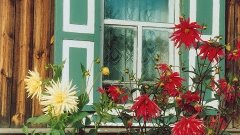 Домик окнами в сад  Братья Радченко