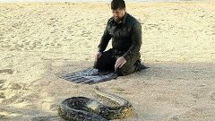 Змея пыталась укусить Рамзана Кадырова
