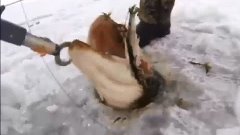 Зимняя рыбалка - щука на жерлицу