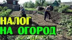 Налог на огород от &quot;Единой России&quot;