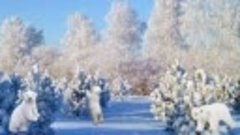 Доброе утро_ ❤️ Красивого зимнего дня и отличного(360P).mp4