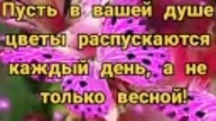 🌷🦋🌷ПУСТЬ ВАШЕЙ ДУШЕ  ЦВЕТЫ  РАСПУСКАЮТСЯ   КАЖДЫЙ  ДЕНЬ, ...