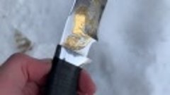 Нож Зубр. 95х18. Золото