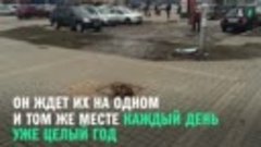 Кот-хатико в Белгороде ждет хозяев уже целый год