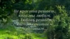 Как же мудро сказано! Лучшие цитаты и афоризмы о Любви и Сча...