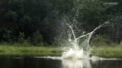 An osprey fishing in spectacular super slow motion _ Highlan...