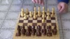 Шахматы онлайн занятие