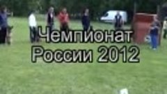 The championship of Russia on Mondioring 2012