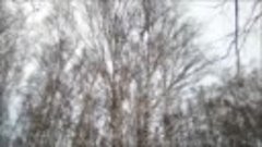 Зима в Усть-Ишимском парке. Лирическая зарисовка. Автор Снеж...