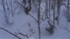 Старый охотник на медведей (1982) [L1. Антон Кудрявцев] 1.45...
