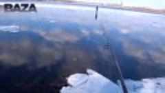 В Киеве рыбаки увидели, как 11-летнего мальчика унесло на ль...