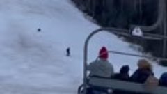 Медведь погнался за лыжником в Румынии