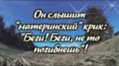 Трогательно до Слёз! «Орёл в Курятнике»