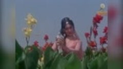 Vyjayanthimala songs - Suraj(1966)