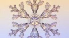 Покадровая микроскопическая съёмка растущих снежинок