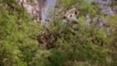 Australia Remastered Wild Treasures S03E04 ~ Ancient Forests