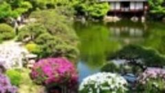 Экзотические сады Японии