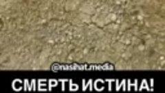 VID смерть истина?😭😭😭😭