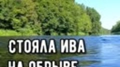 Стояла. Ива на обрыве.....