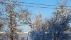 Фотовыставка &quot;Очарование крымской зимы!&quot;